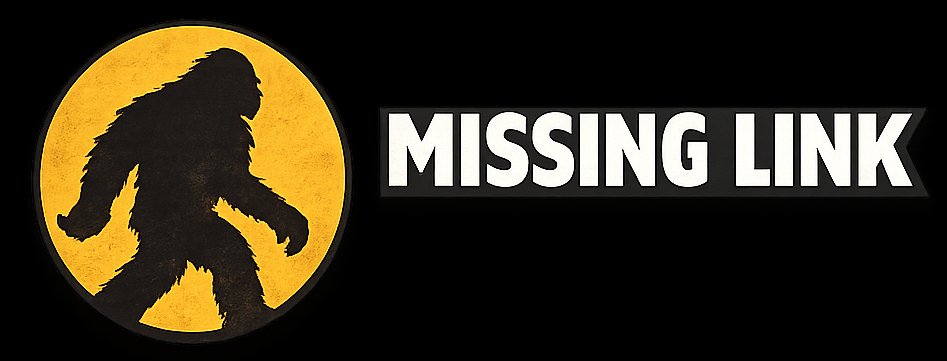 MissingLink